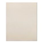 Płyta winylowa SPC NR 1 matowa 280x122x0.4 cm