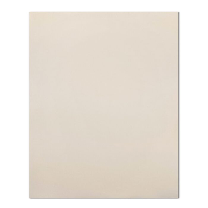 Płyta winylowa NR 1 matowa 280x122x0.4 cm - obrazek 1